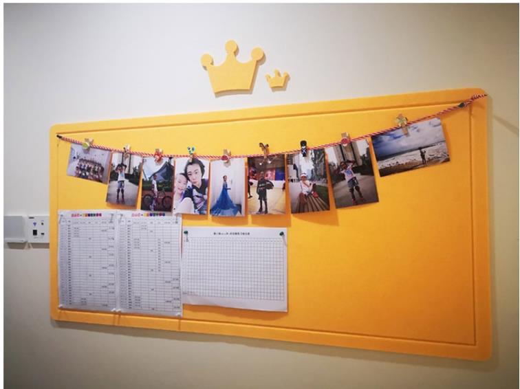 Acoustic Wall Panel - Notice Board